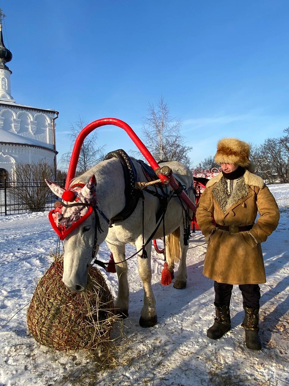 Семейные прогулки в санях